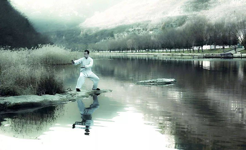 TCM Exercise Therapy